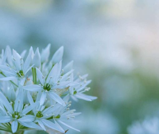 version_1200_80afedb2aa6e4f237d8920201201-1396502-1y1irej